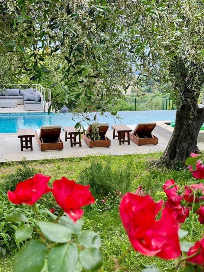 Escondida Bed and Breakfast Νίκαια Εξωτερικό φωτογραφία