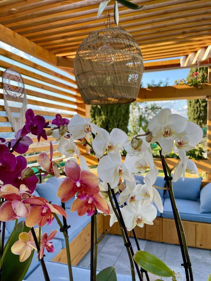 Escondida Bed and Breakfast Νίκαια Εξωτερικό φωτογραφία